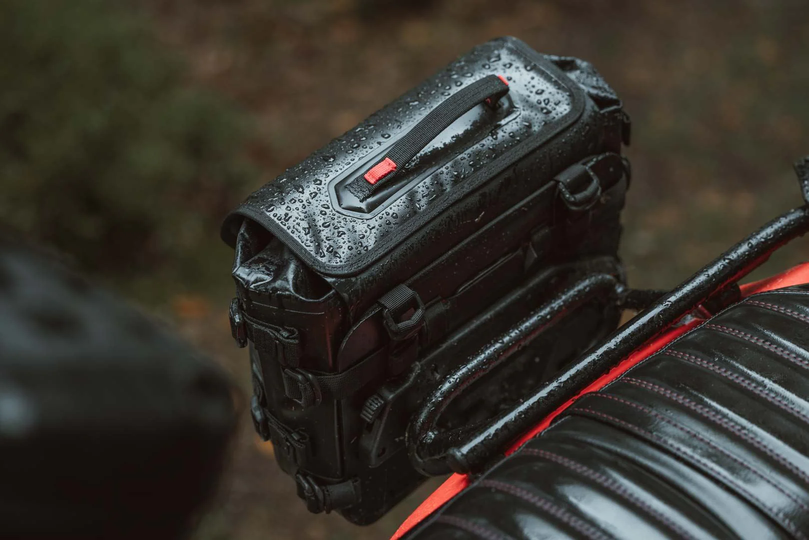 SysBag WP S/S system Triumph Thruxton 900 (04-15). - Image 4